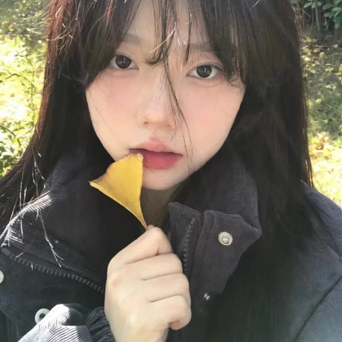 百粤风云