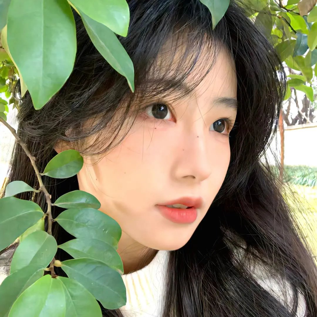 分而治之